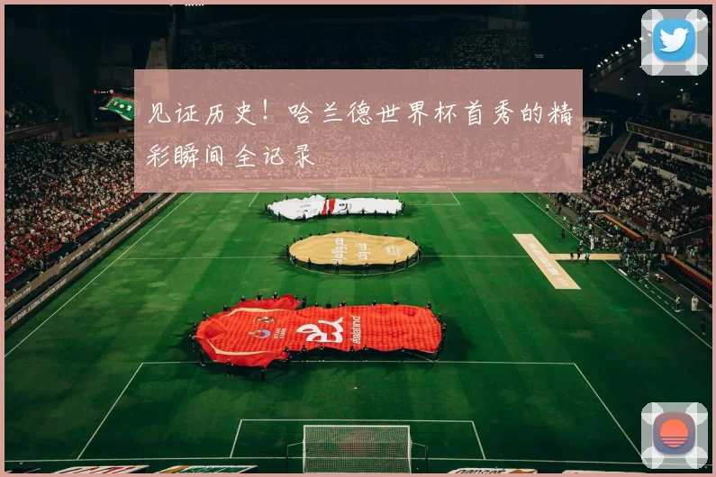 见证历史!哈兰德世界杯首秀的精彩瞬间全记录